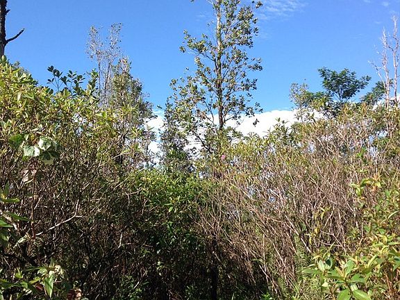 5th image of Sandalwood Dr Lot 66