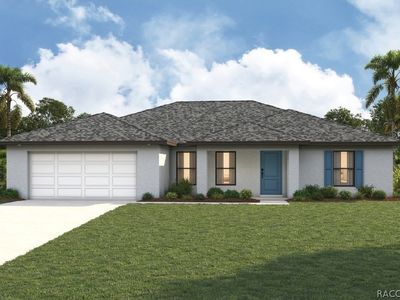 11590 N Condor Dr, Citrus Springs, FL, 34433