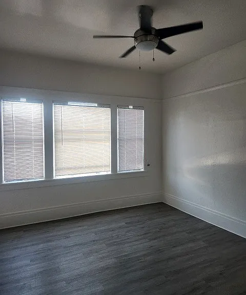 1512 Park St #6 — Photo 3