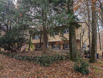 150 Mount Olive Rd, Flanders, NJ, 07836