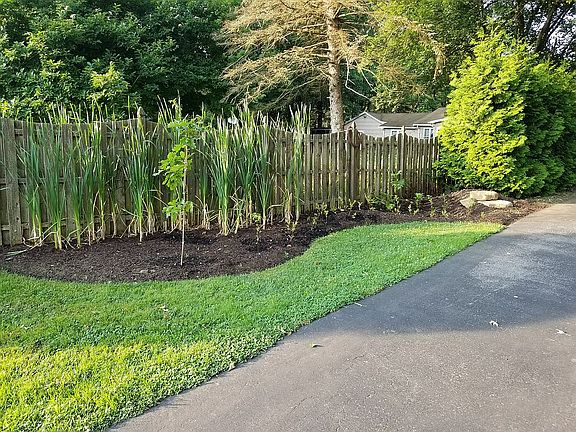 Rain garden bioretention