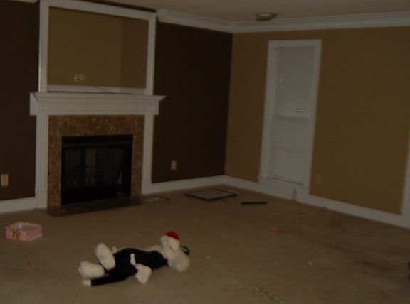 2nd image of 210 Pine Creek Dr