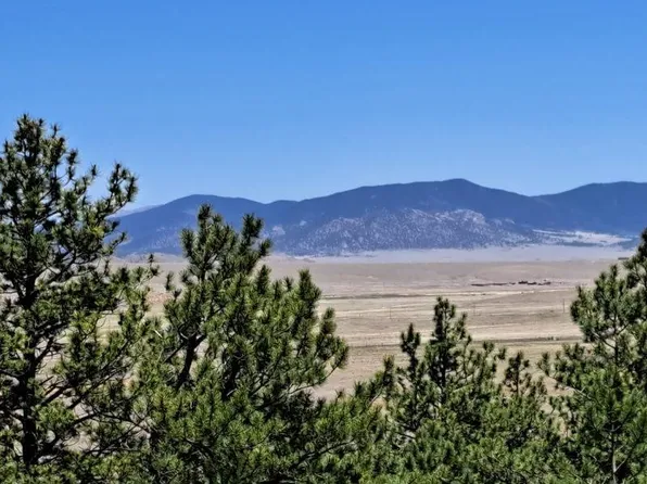 550 Woroka Trl, Hartsel, CO 80449