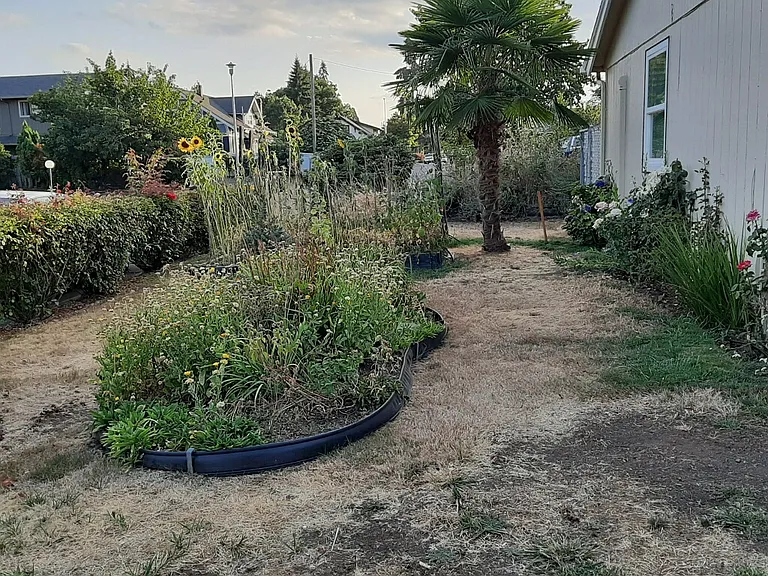 Front side yard for gardening.