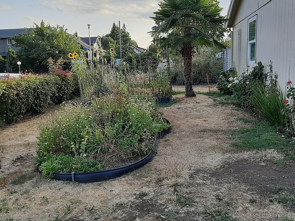 Front side yard