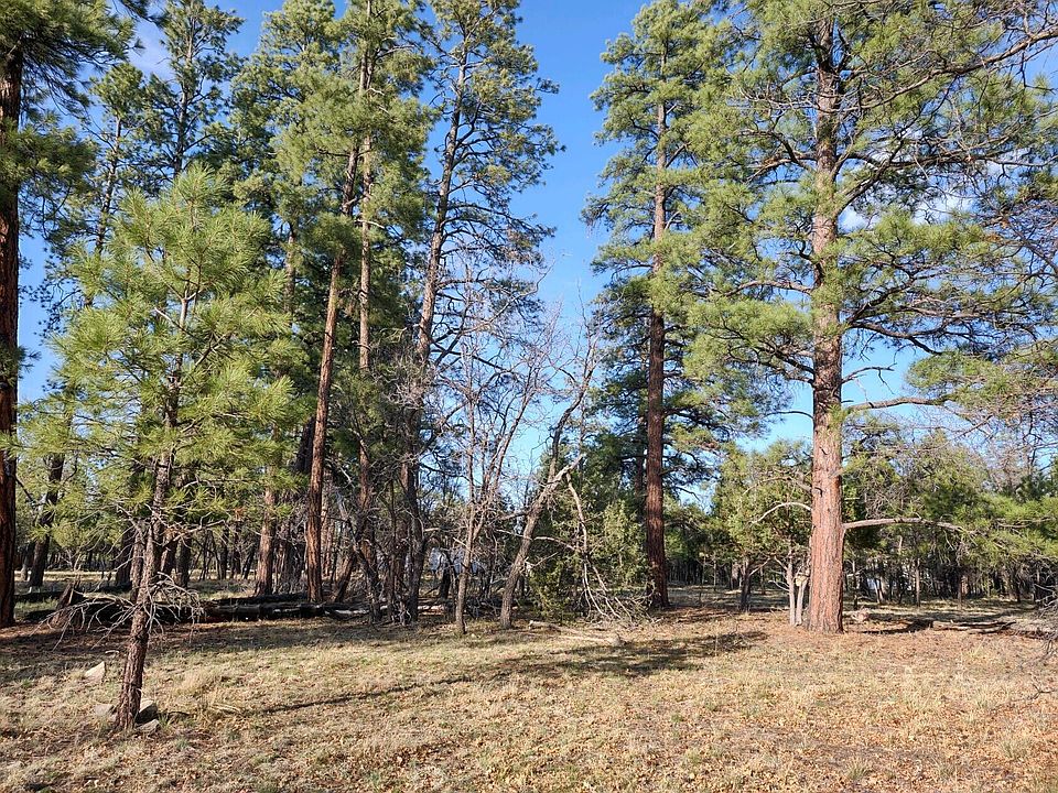 1st image of 2011 Pine Canyon Dr