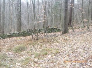 0 Woodland Rd, Sidney Center, NY 13839