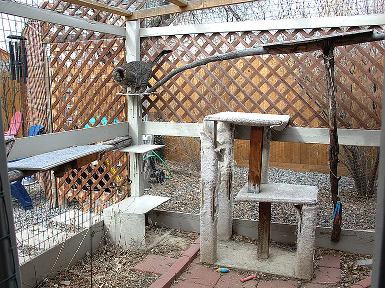 Small catio (Cat not included)