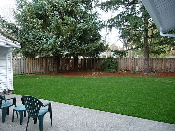 Large, private backyard