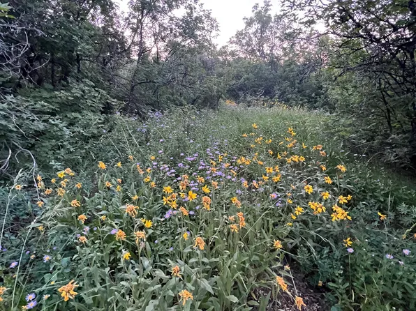 58 Juniper Dr, Fish Haven, ID 83287