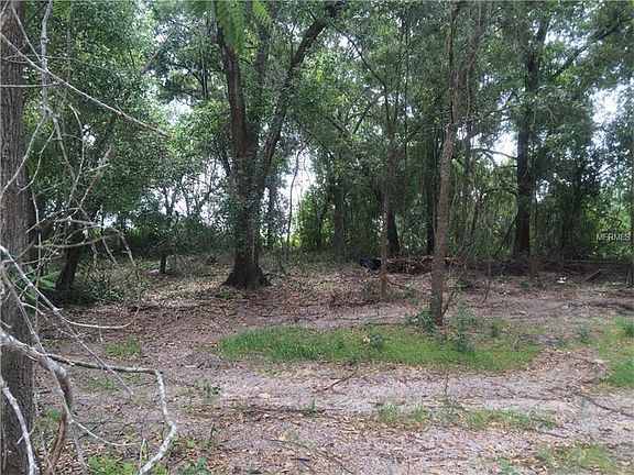 2nd image of 16501 State Road 19