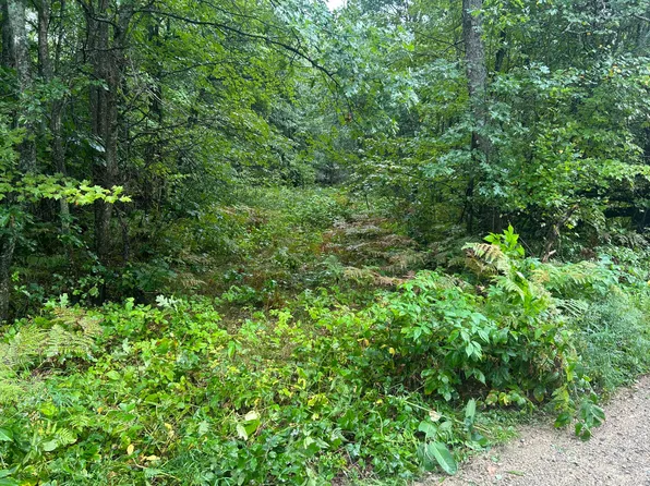 83 Homecrest Dr, Houghton Lake, MI 48629