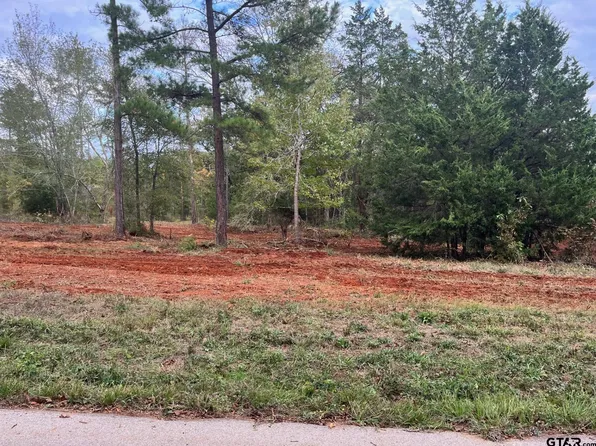 County Road 2123 Lot 201, Whitehouse, TX 75791