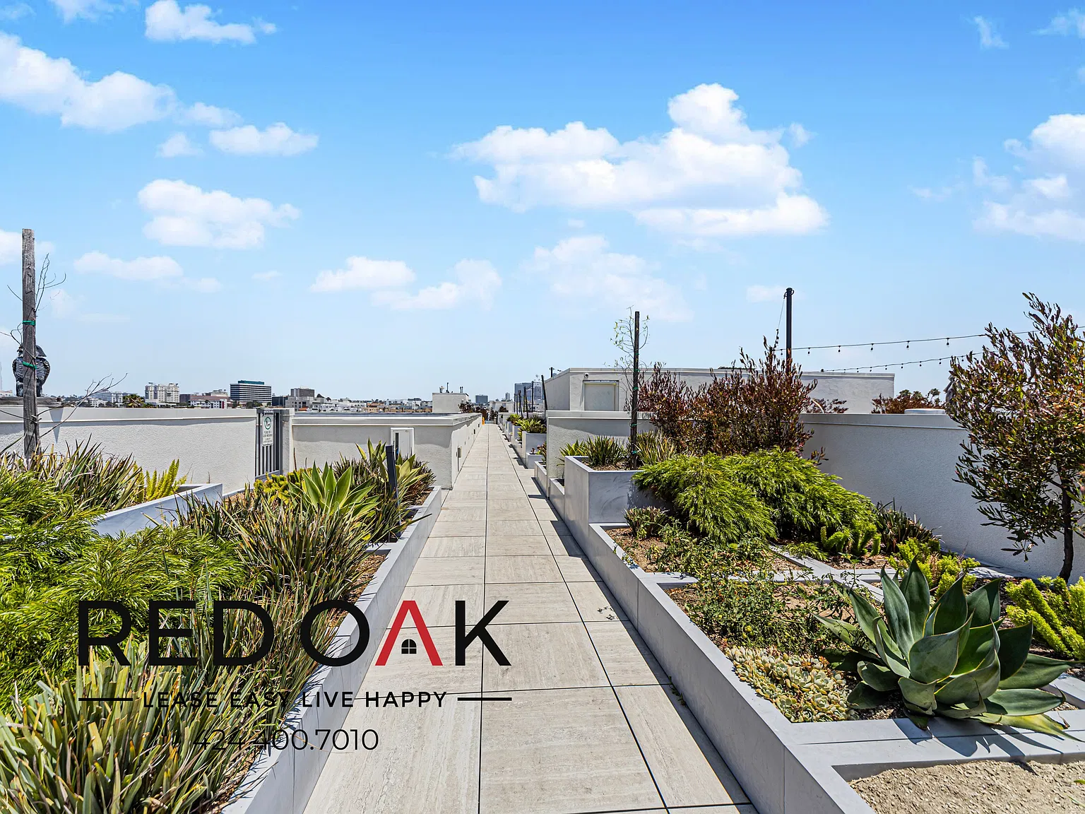 Exquisite One Bedroom with Great Amenities, In-Unit Washer/Dryer, and Available Parking ~ Near Ko... — Photo 3