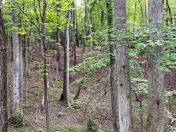 LOT 292 Dormie Ln, Penhook, VA 24137