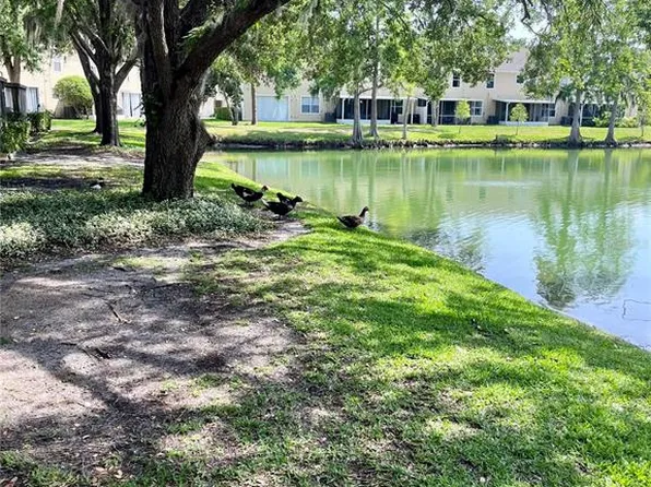 3615 Pine Knot Dr, Valrico, FL 33596