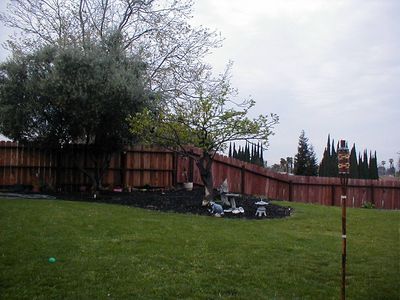 216 Alvarado Ave, Pittsburg, CA, 94565