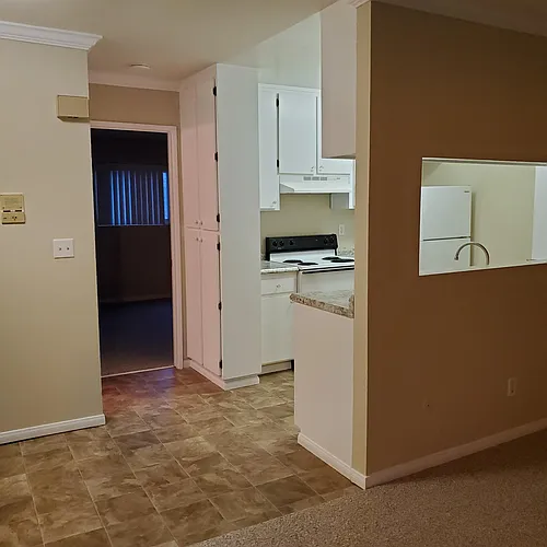 3770 Grim Ave #5 Photo 1
