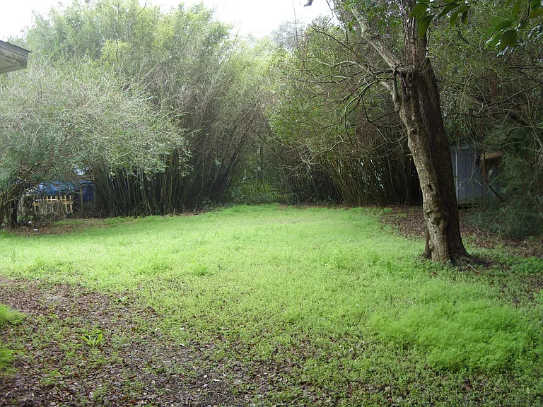Good size backyard