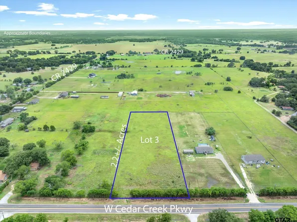 LOT 3R W Cedar Creek Pkwy, Kemp, TX 75143