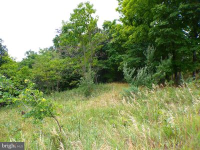 Waxler Rd, Keyser, WV, 26726
