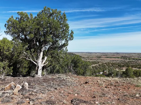 4450 S Freedom Cir, Taylor, AZ 85939