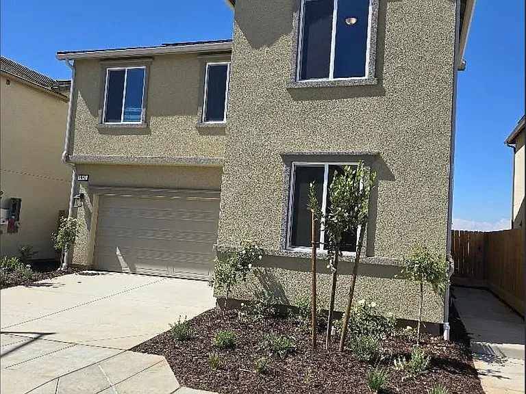 1015 Plum Tree Ave — Photo 6