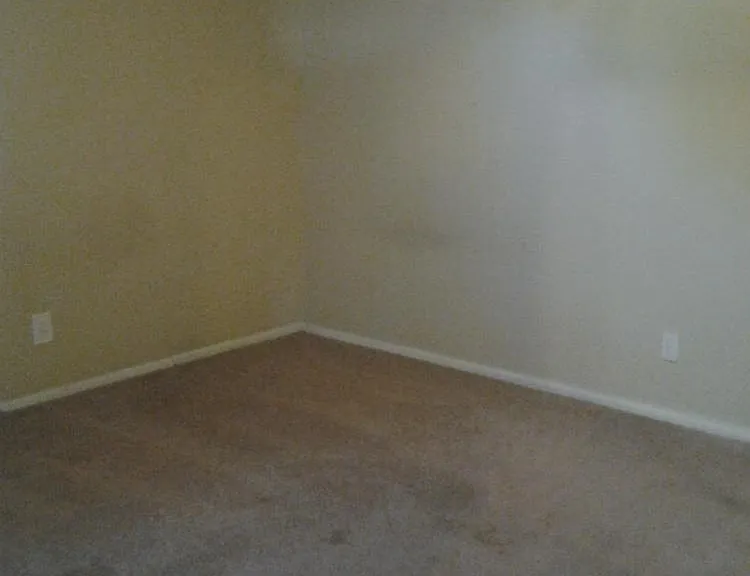 677 Bridger Dr — Photo 10