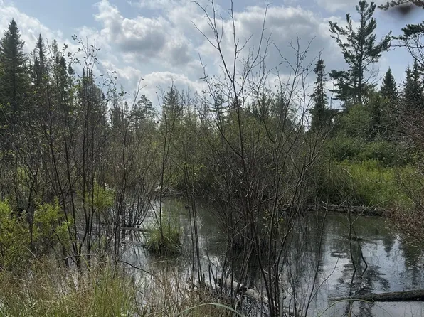 Malvern Fire Ln, Rhinelander, WI 54501