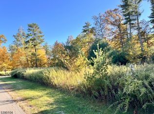 638 Sleepy Hollow Rd, Montague Twp., NJ 07827