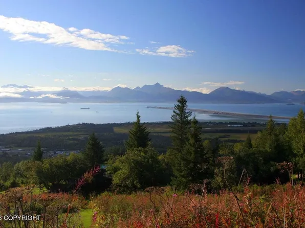 2650 Kestrel Cir, Homer, AK 99603