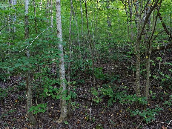 4th image of 77 Baymont Dr Lot 76/77
