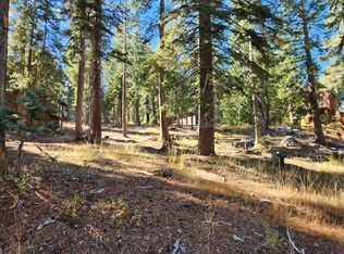 23 John Ebbetts Rd, Bear Valley, CA 95223