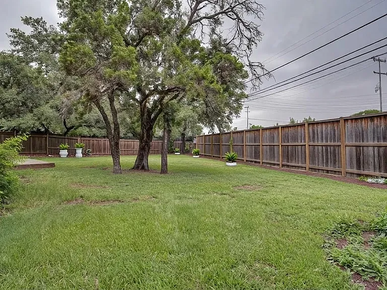 Backyard