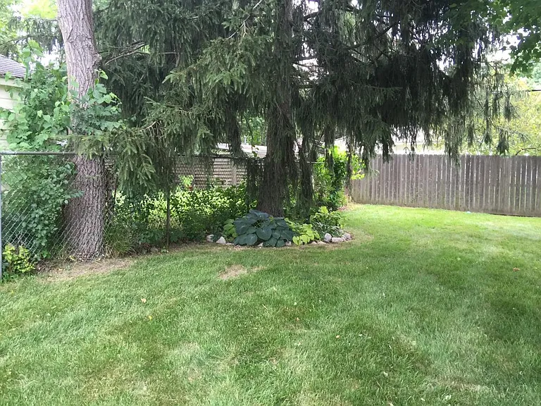 1517 Catalina Dr — Photo 11