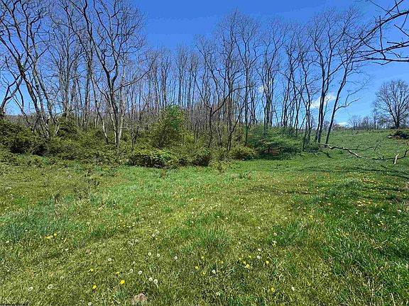 4th image of 100 Miller Farm Ln