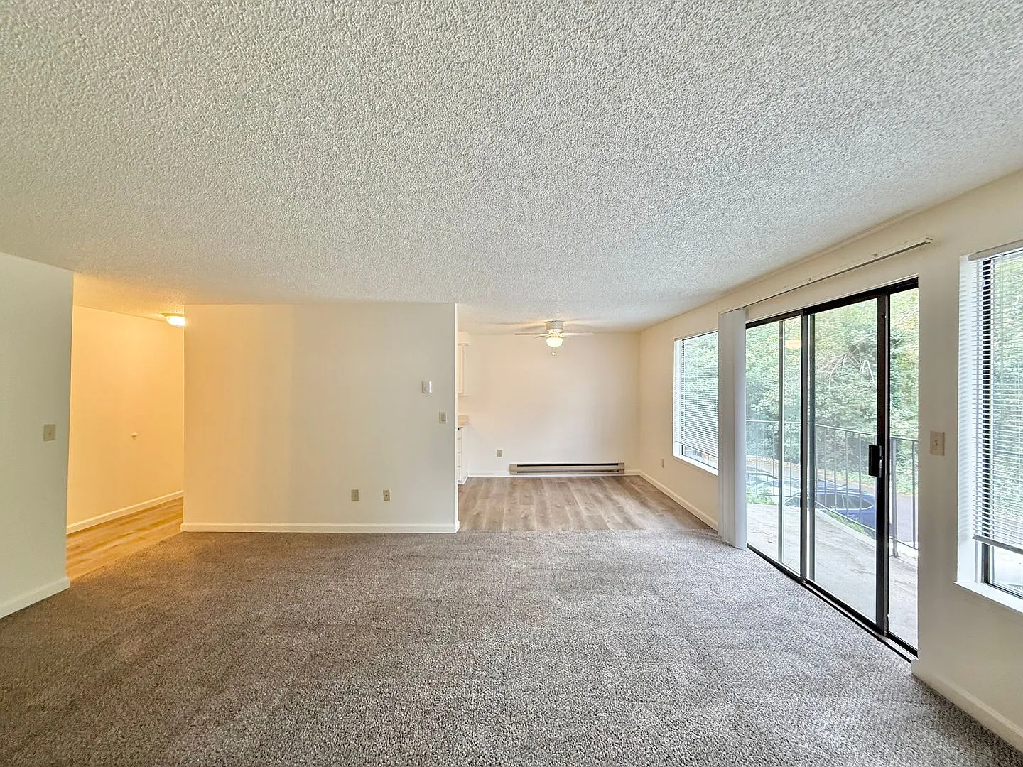 #130 HYDE PARK TERRACE — Photo 4