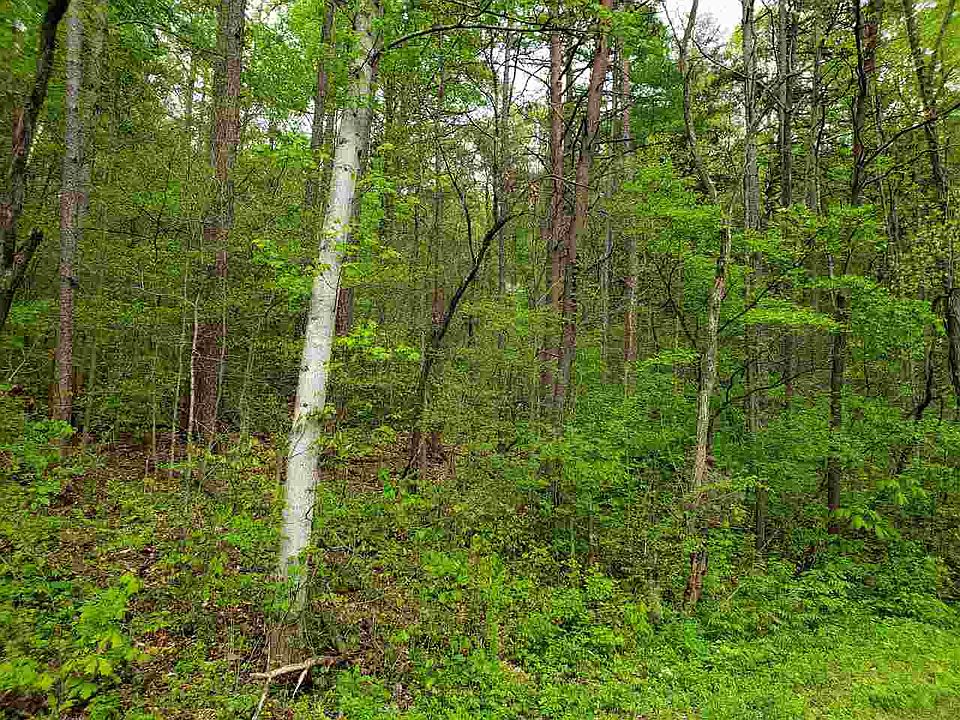 1st image of W Park Ct #68