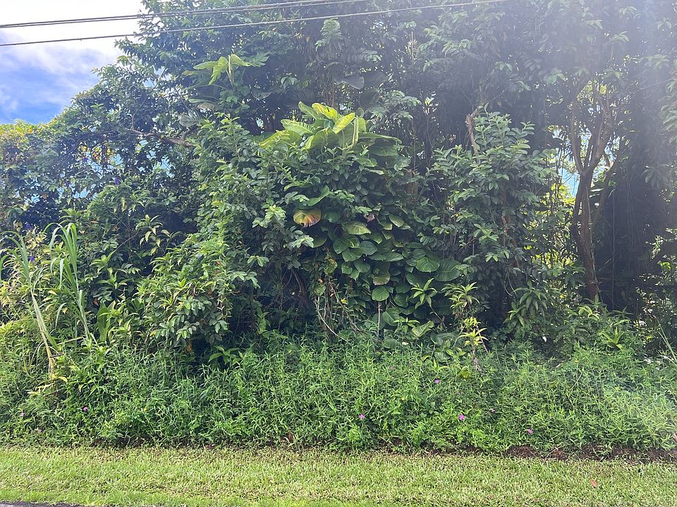 2nd image of Mahimahi St
