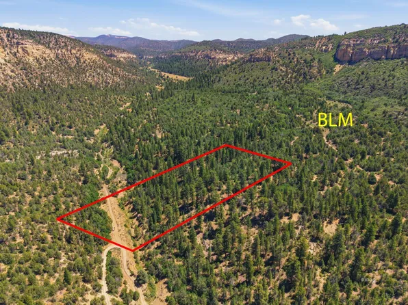 Cougar Cyn, Orderville, UT 84758