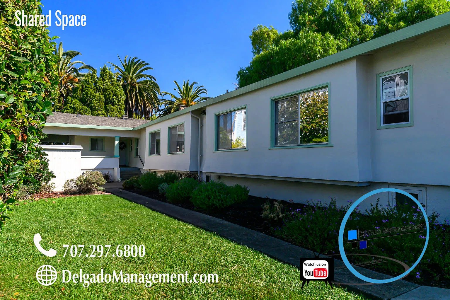 Studio, $995 — Photo 4