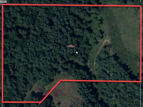 39357 SW Gibson Rd, Gaston, OR 97119