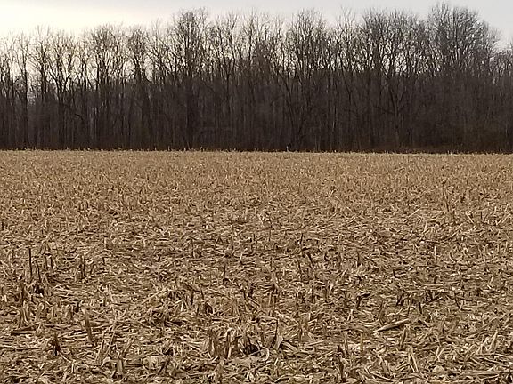 2nd image of 1854 County Road 206