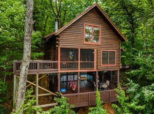 54 Ascherman Ct, Blue Ridge, GA 30513