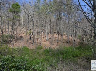 Squirrel Spur Rd, Meadows Of Dan, VA 24120