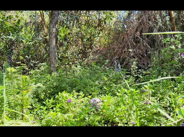 18th Ave Lot 416, Keaau, HI 96749