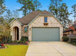 127 Lukewood Cir, Willis, TX 77318