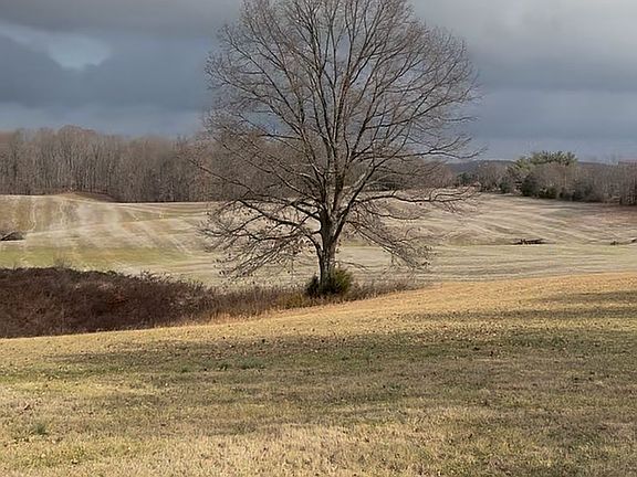 5th image of 7329 Blackjack Rd