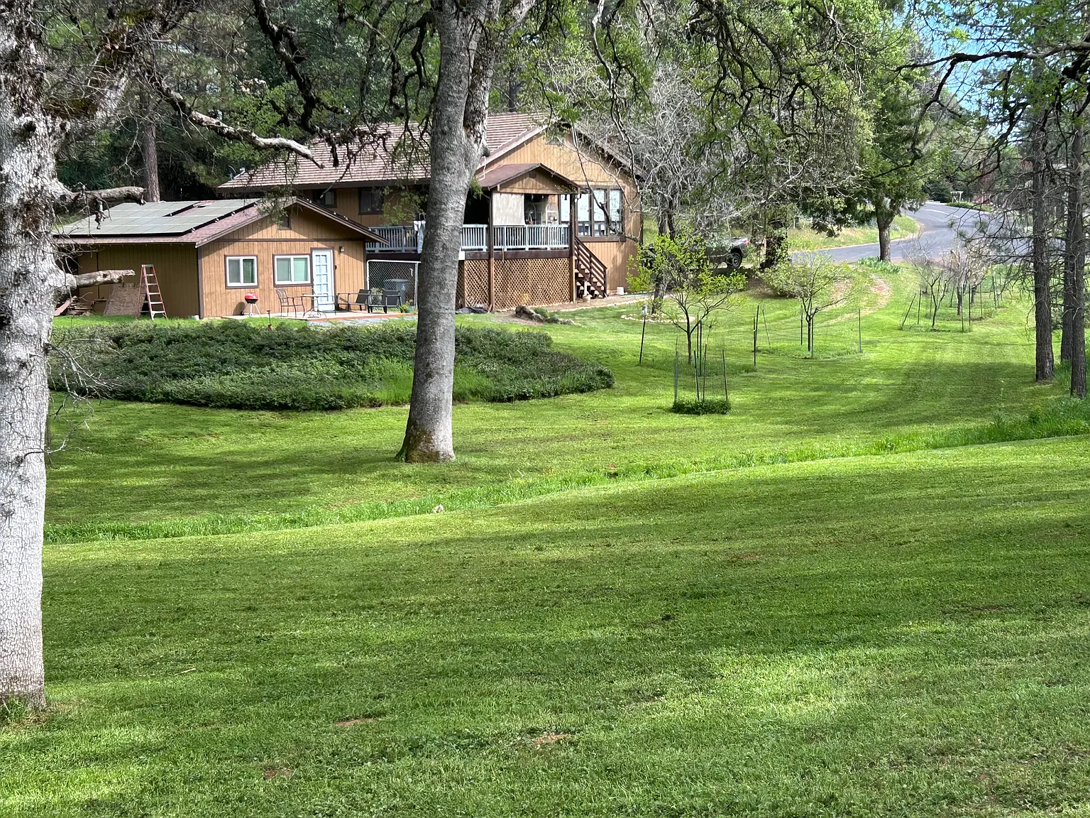 Redwood Ct, Foresthill — Photo 2