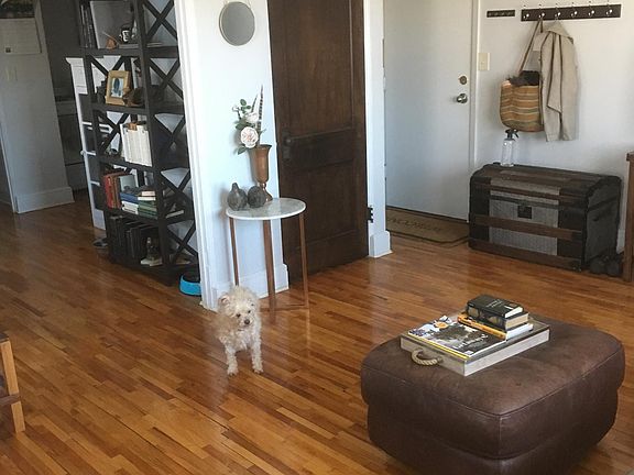 Hardwood floors through out apartment